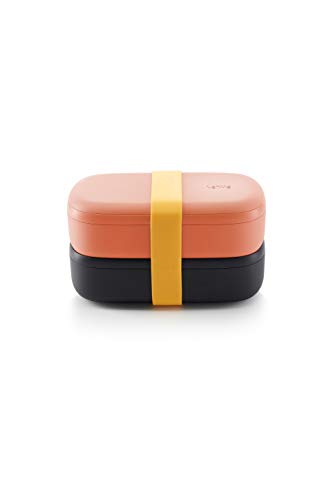 Lekue LunchBox-To-Go Travel Container Set, Coral - The Finished Room