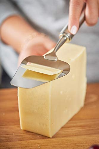 Rösle Stainless Steel Sturdy Cheese Plane, 9.5-inch - The Finished Room