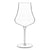 Luigi Bormioli Tentazioni 19.25 oz Merlot Red Wine Glasses, Set of 6, Clear - The Finished Room