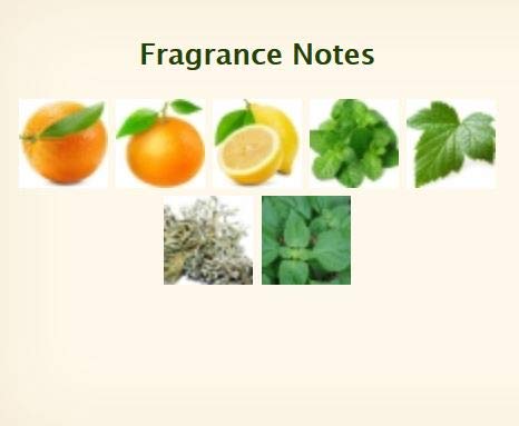 Herme?s Jumbo Soaps - Eau d&#39;Orange Verte Luxury Perfumed Gift Soaps Imported From Herme?s Paris - Citrus and Mint Fragrance - 5.2 Ounces / 150 Grams - 2 Gift Boxed Perfumed Soaps / Savons Par