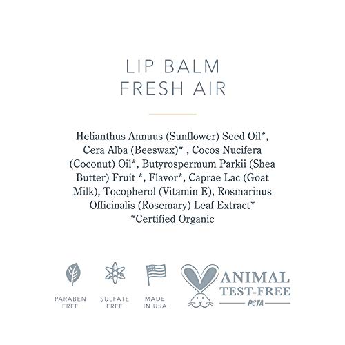 Beekman 1802 - Lip Balm - Oak Moss - Luxuriously Moisturizing Goat Milk Lip Balm For Dry, Cracked Lips - Goat Milk Lip Care - 0.15 oz - The Finished Room