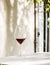 Luigi Bormioli Vinea 18.5 oz Red Wine Glasses, Set of 2, Clear - The Finished Room