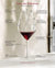 Luigi Bormioli Vinea 10.25 oz Cocktail Glasses, Set of 2, Clear - The Finished Room