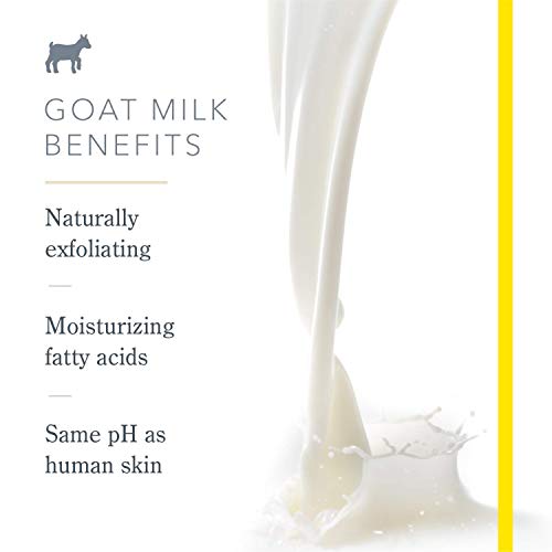 Beekman 1802 - Goat Milk Lotion - Ylang Ylang &amp; Tuberose - Hydrating Goat Milk Lotion for Whole-Body - Naturally Exfoliates with Lactic Acid - Cruelty-Free Goat Milk Bodycare - 12.5 oz - The 