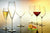 Luigi Bormioli Atelier 9.25 oz Champagne Glasses, Set of 6, Clear - The Finished Room