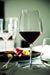 Luigi Bormioli Atelier Chianti Wine Glass, 18-1/2-Ounce, Set of 6 - The Finished Room