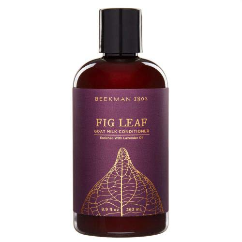 Beekman 1802 Fig Leaf Conditioner - 8.9 Ounces - The Finished Room