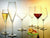 Luigi Bormioli Atelier 10 oz Cocktail Glasses (Set of 6), Clear - The Finished Room