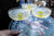 Luigi Bormioli Vinea 10.25 oz Cocktail Glasses, Set of 2, Clear - The Finished Room