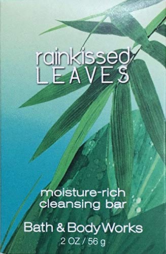 Bath and Body Works Rainkissed Leaves Soap, 2 Ounces - Set of 6 - The Finished Room
