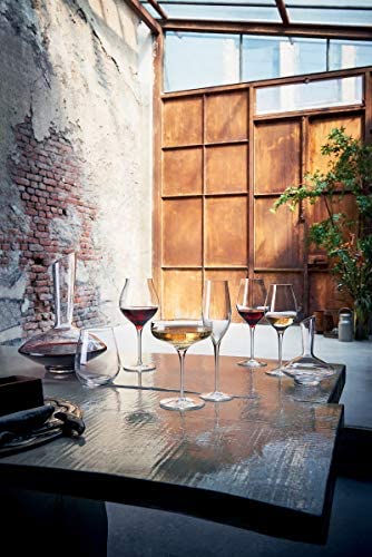 Luigi Bormioli Vinea 18.5 oz Red Wine Glasses, Set of 2, Clear - The Finished Room