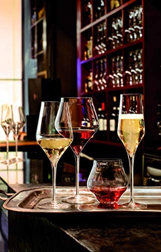 Luigi Bormioli Supermo 22 oz Burgundy Red Wine Glasses, Set of 2, Clear - The Finished Room