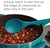 Rachael Ray Kitchen Tools and Gadgets Nonstick Utensils/Lazy Spoon and Ladle, 2 Piece, Marine Blue - The Finished Room