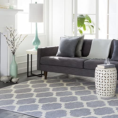 Brooke Gray Transitional Area Rug 2&#39;7&quot; x 7&#39;3&quot; - The Finished Room