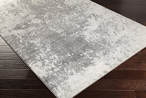 Surya Rug · ABERDINE · ABE-8013 · Charcoal, Light Gray - 5'2" x 7'6" - The Finished Room