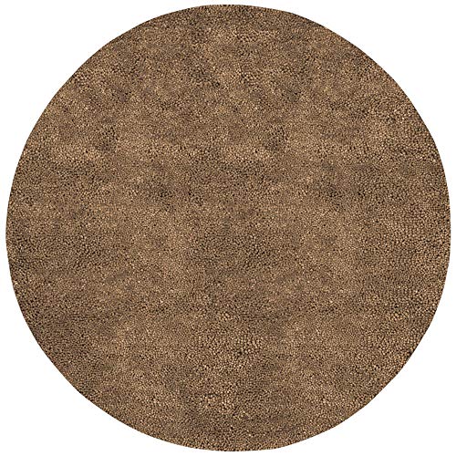 Surya Aros AROS-10 Area Rug - Natural - The Finished Room