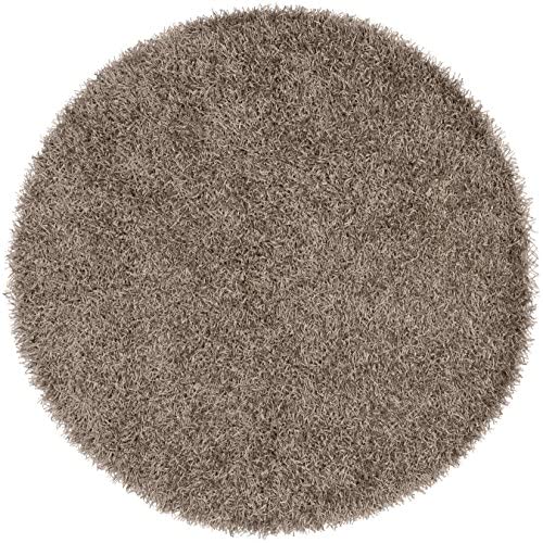 Vivid Rug Rug Size: 10&#39; Round - The Finished Room