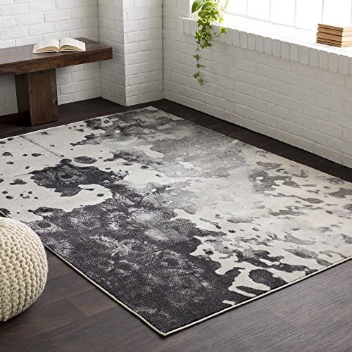 Lola Black and Light Gray Modern Area Rug 2&#39;2&quot; x 3&#39; - The Finished Room