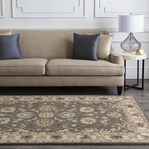 Surya CAE-1005 Caesar Charcoal 2-Feet by 3-Feet Area Rug - The Finished Room